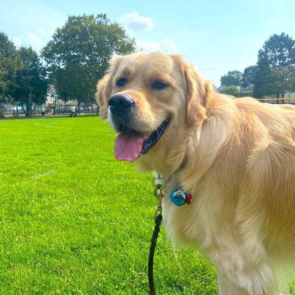 Meet your Posher, Mari - Picture 1 of 1